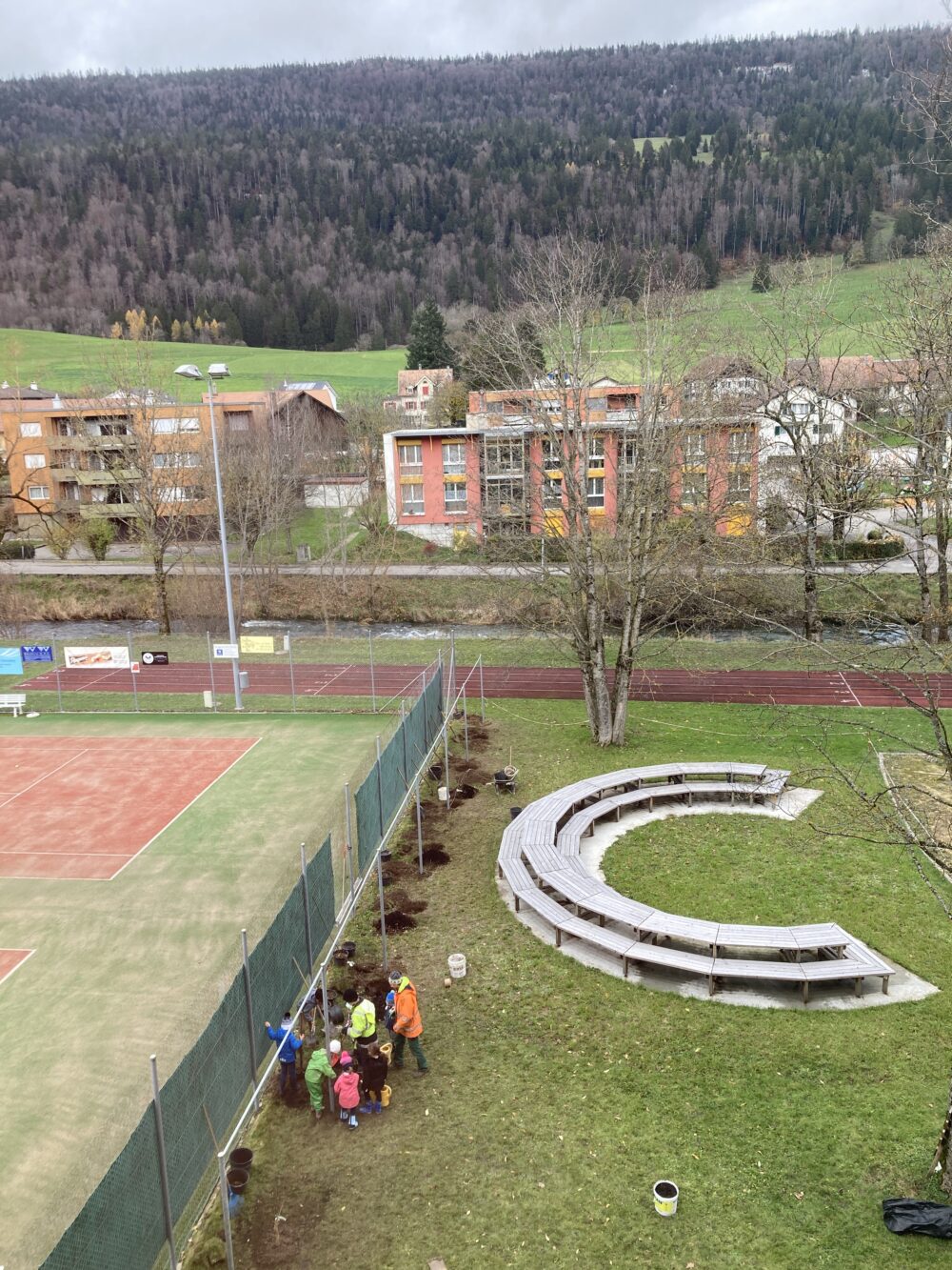 les élèves du primaire plantent des arbres.. les élèves du primaire plantent des arbres.